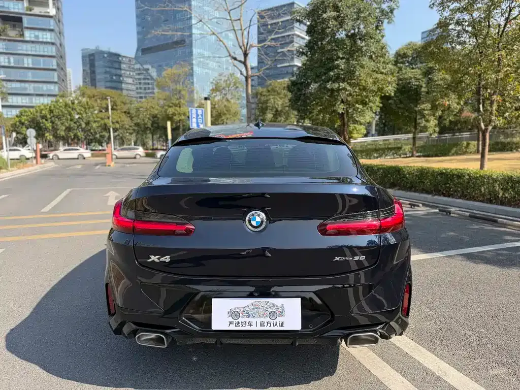 BMW X4 2023 из CN, фото 8