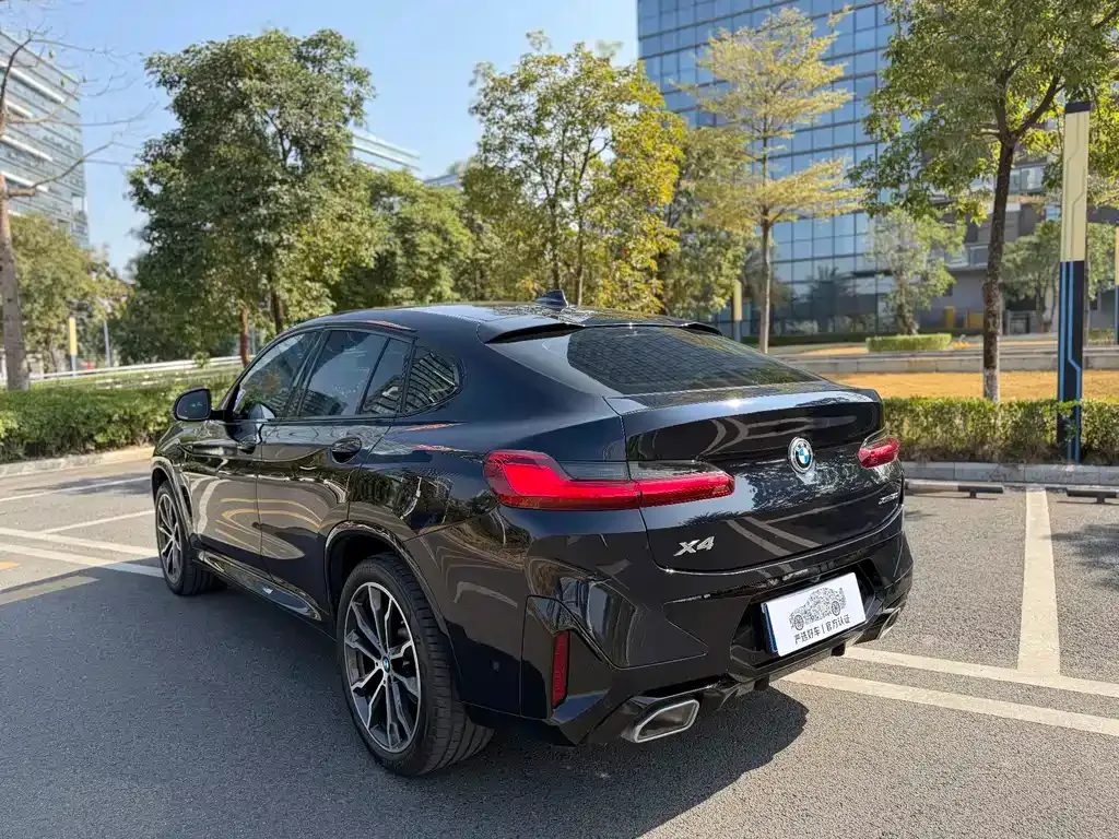 BMW X4 2023 из CN, фото 10