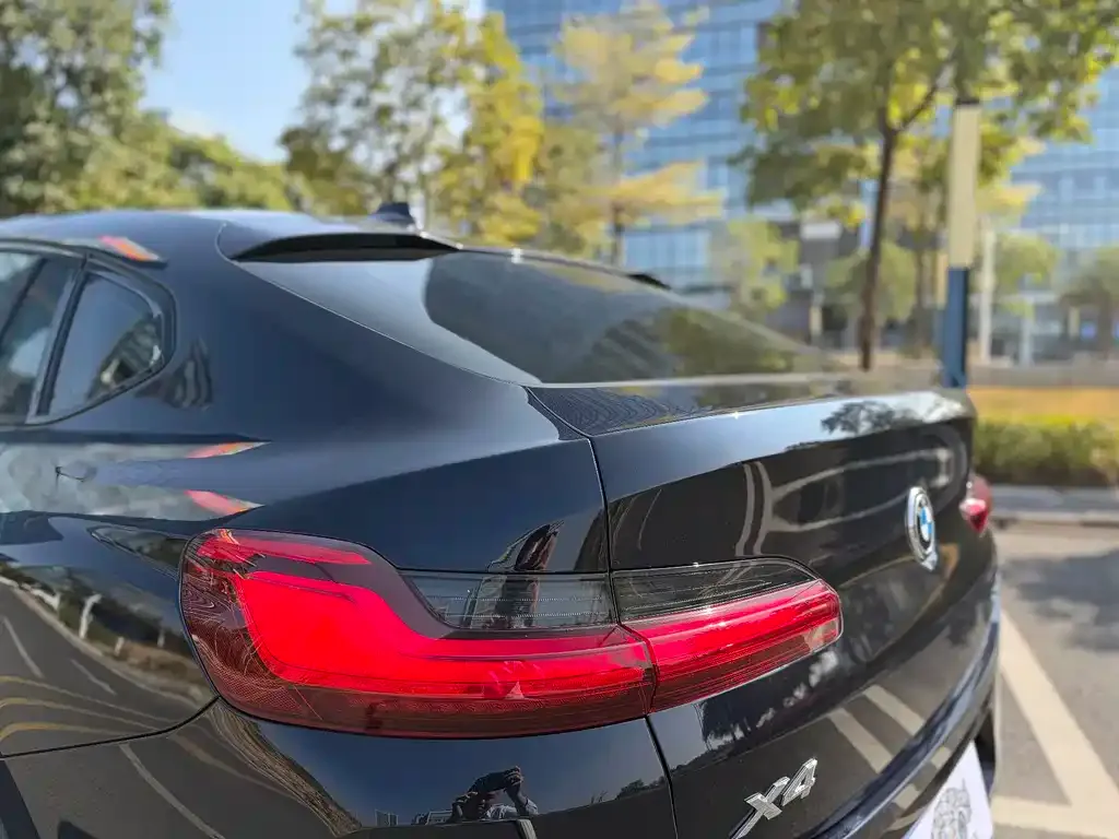 BMW X4 2023 из CN, фото 7