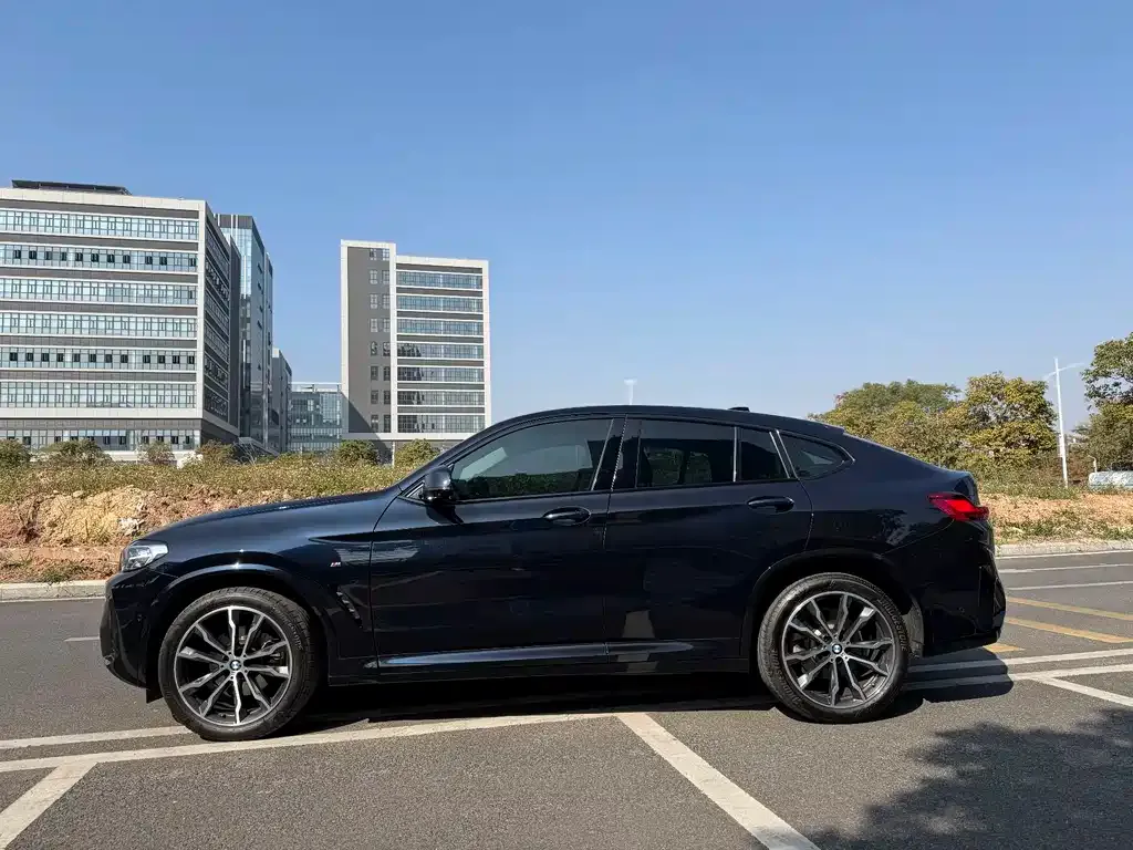 BMW X4 2023 из CN, фото 2