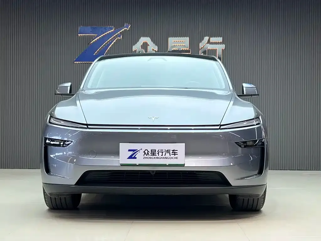 Tesla Model Y 2025 из CN, фото 8
