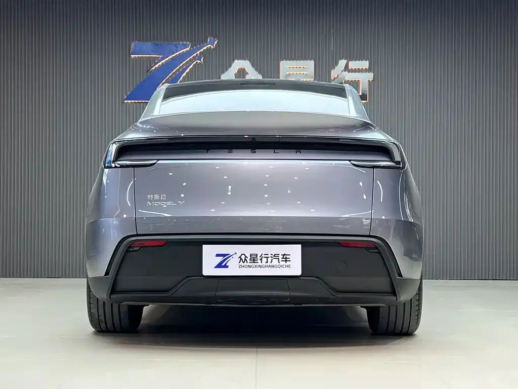 Tesla Model Y 2025 из CN, фото 3
