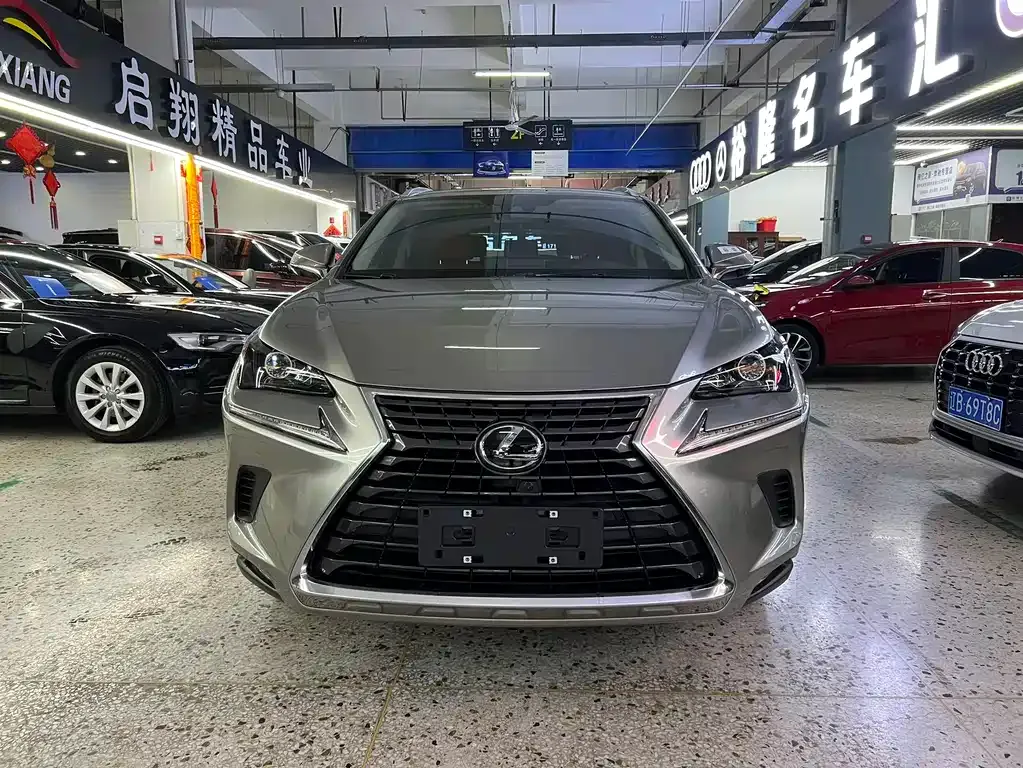 Lexus NX 2021 из CN, фото 10