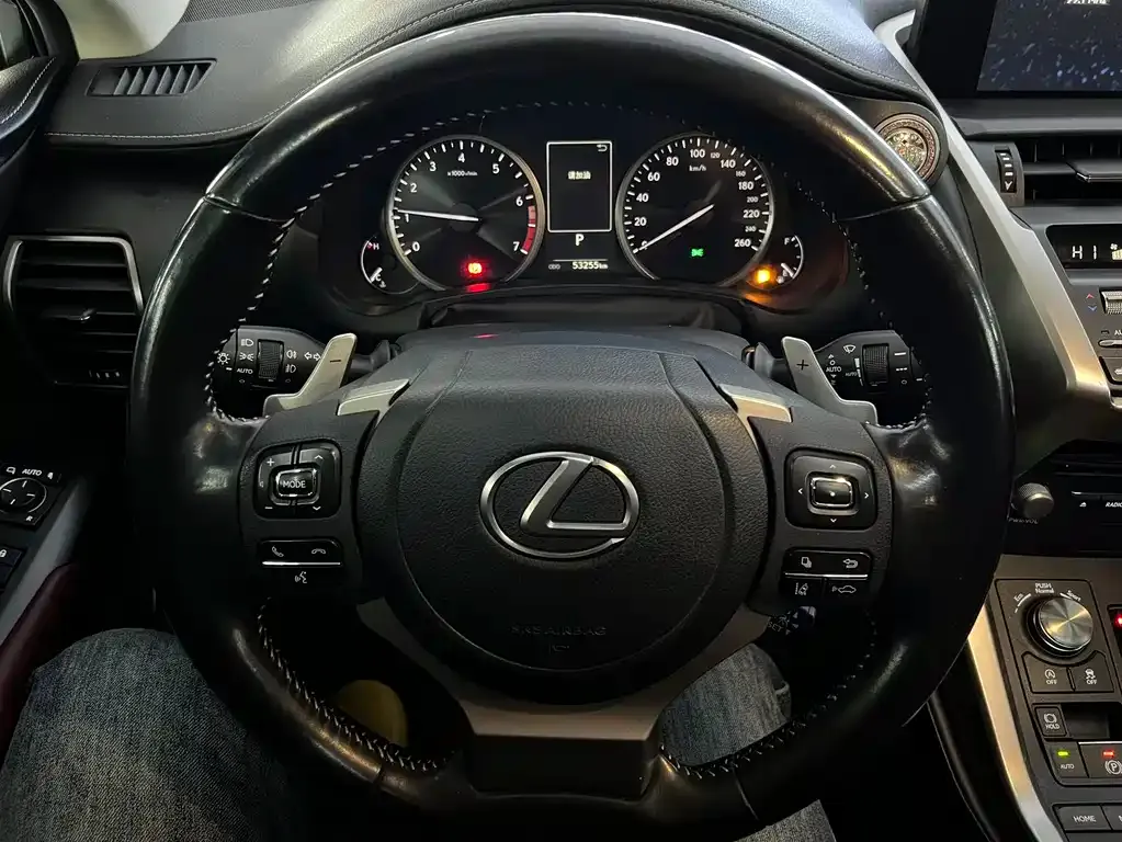 Lexus NX 2021 из CN, фото 7