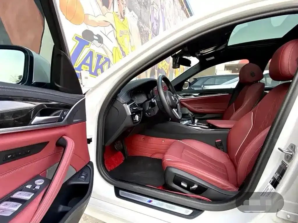 BMW 5 Series 2023 из CN, фото 7