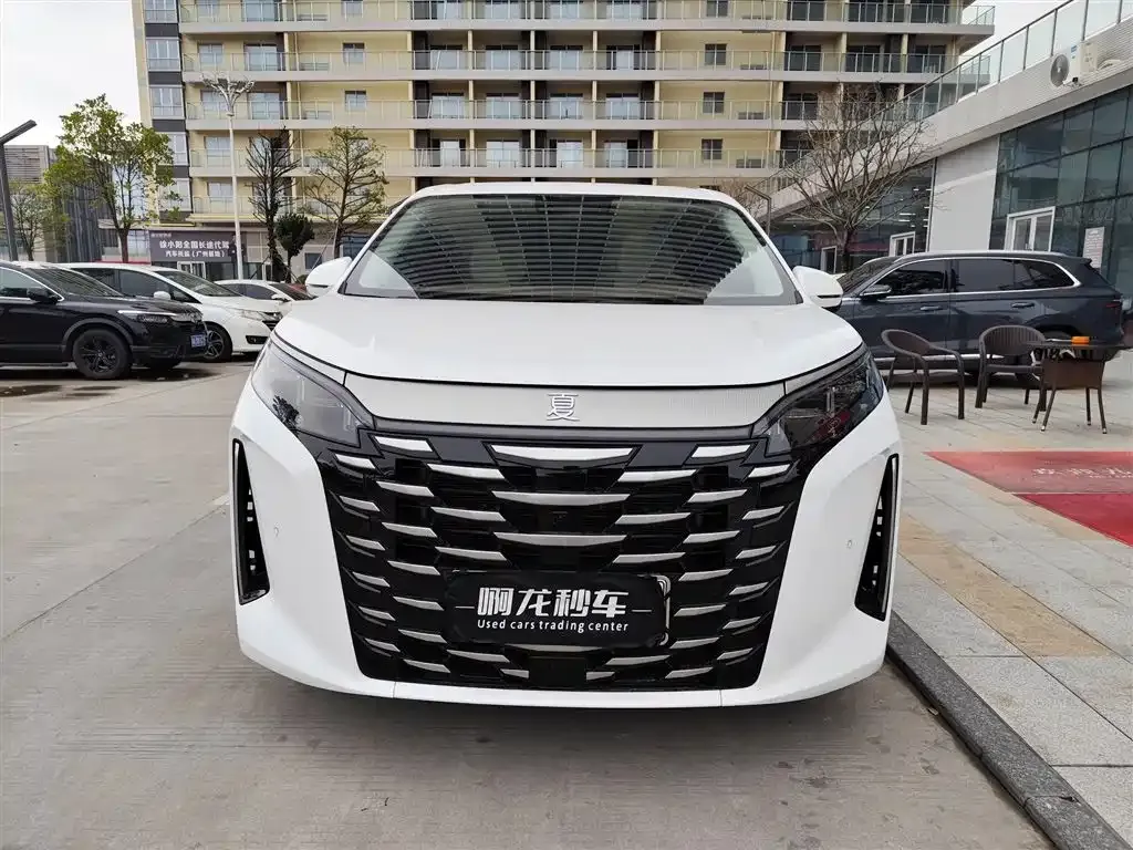 BYD Xia 2025 из CN, фото 4