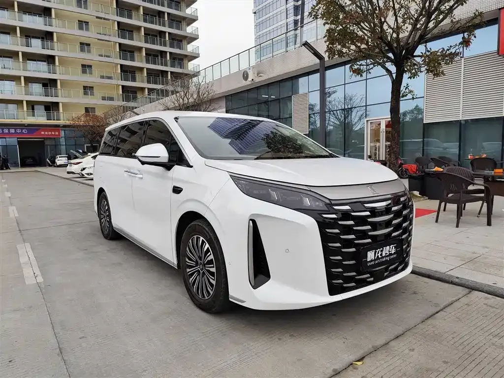 BYD Xia 2025 из CN, фото 9
