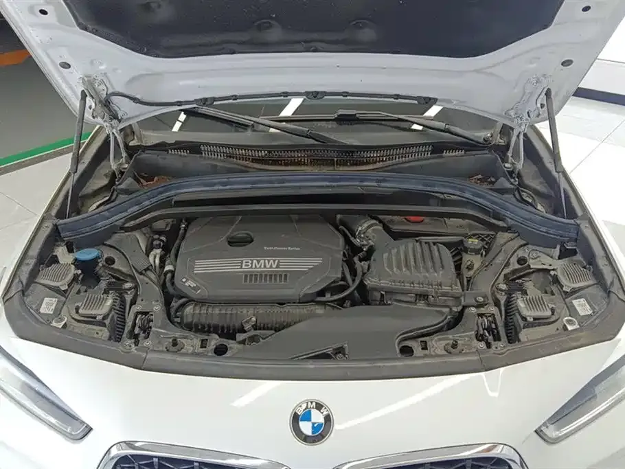 BMW X2 2022 из CN, фото 10