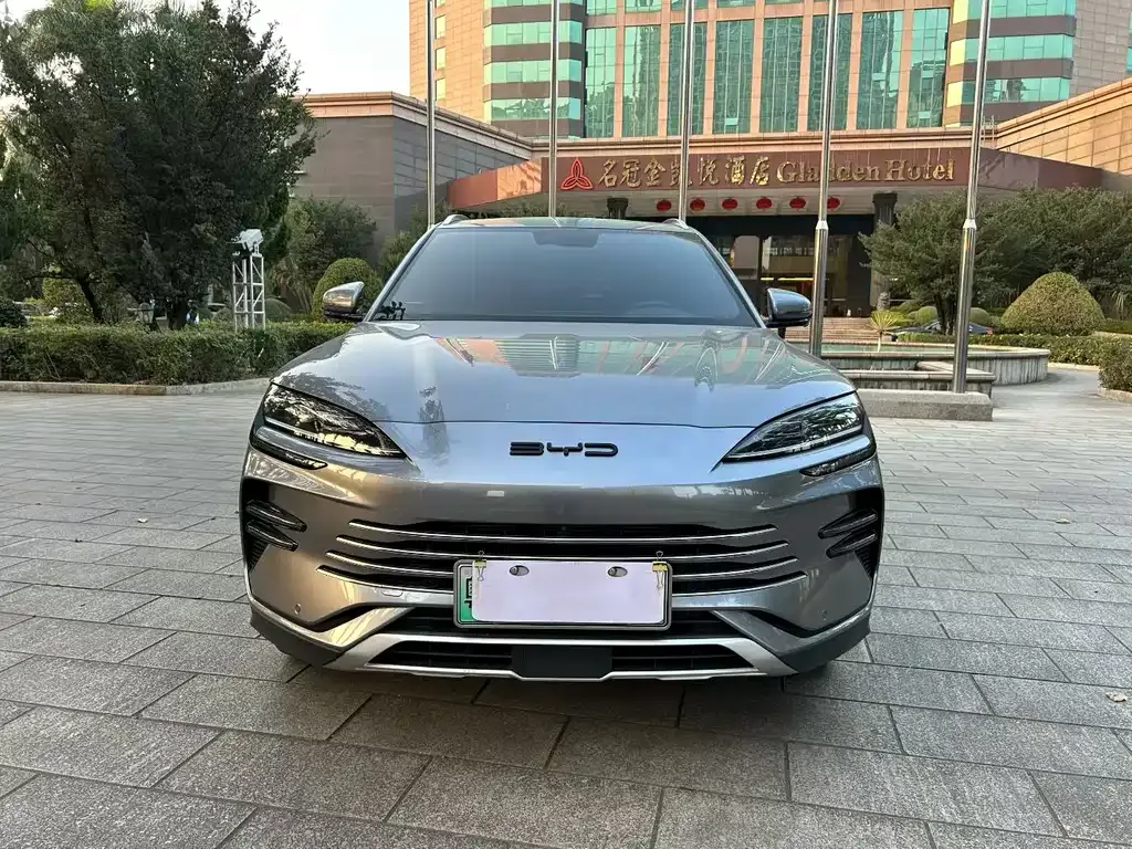 BYD PLUS New Energy 2023 из CN, фото 4