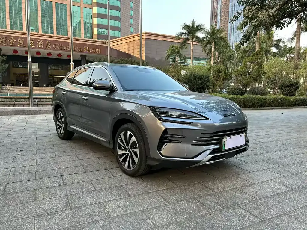 BYD PLUS New Energy 2023 из CN, фото 8