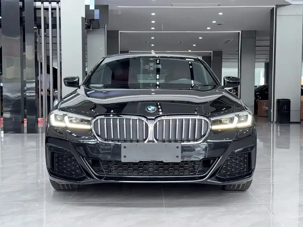 BMW 5 Series 2021 из CN, фото 3