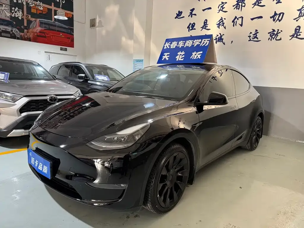 Tesla Model Y 2021 из CN, фото 1