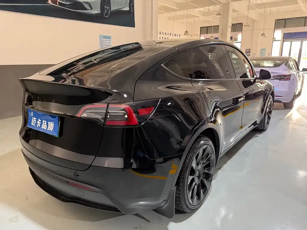 Tesla Model Y 2021 из CN, фото 2