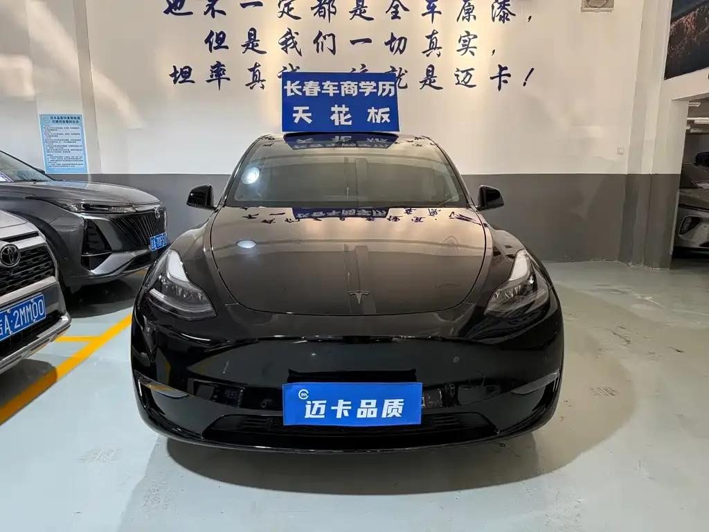 Tesla Model Y 2021 из CN, фото 9
