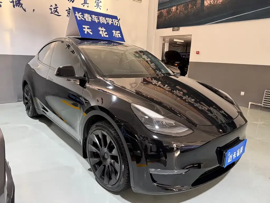 Tesla Model Y 2021 из CN, фото 7