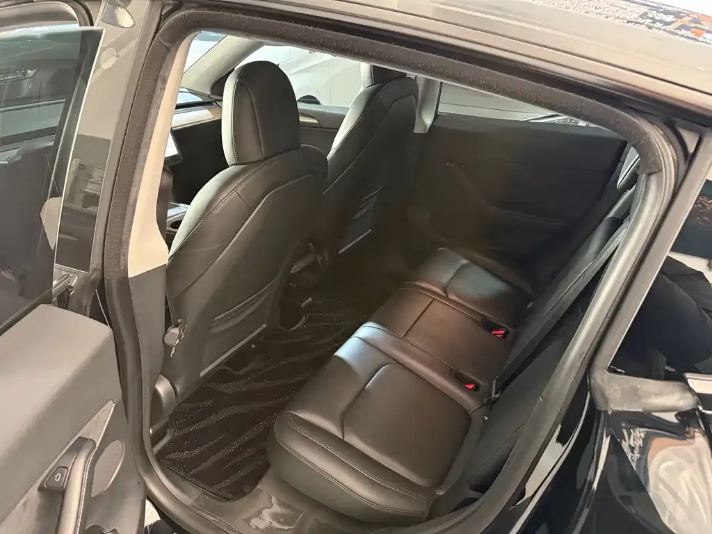 Tesla Model Y 2021 из CN, фото 5