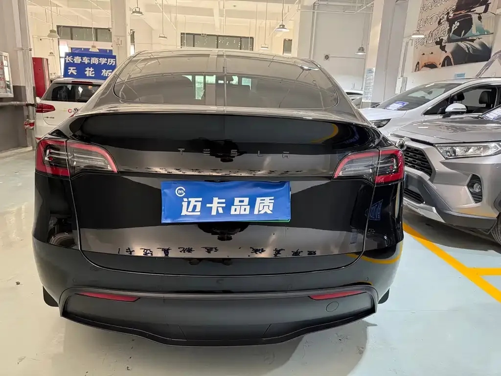 Tesla Model Y 2021 из CN, фото 4