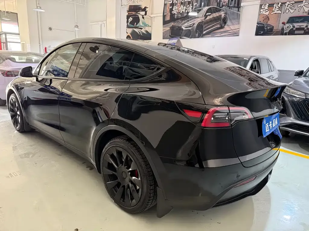 Tesla Model Y 2021 из CN, фото 8