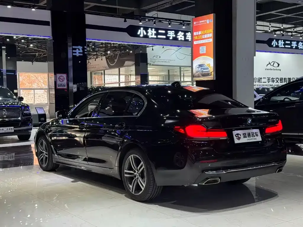 BMW 5 Series 2021 из CN, фото 5