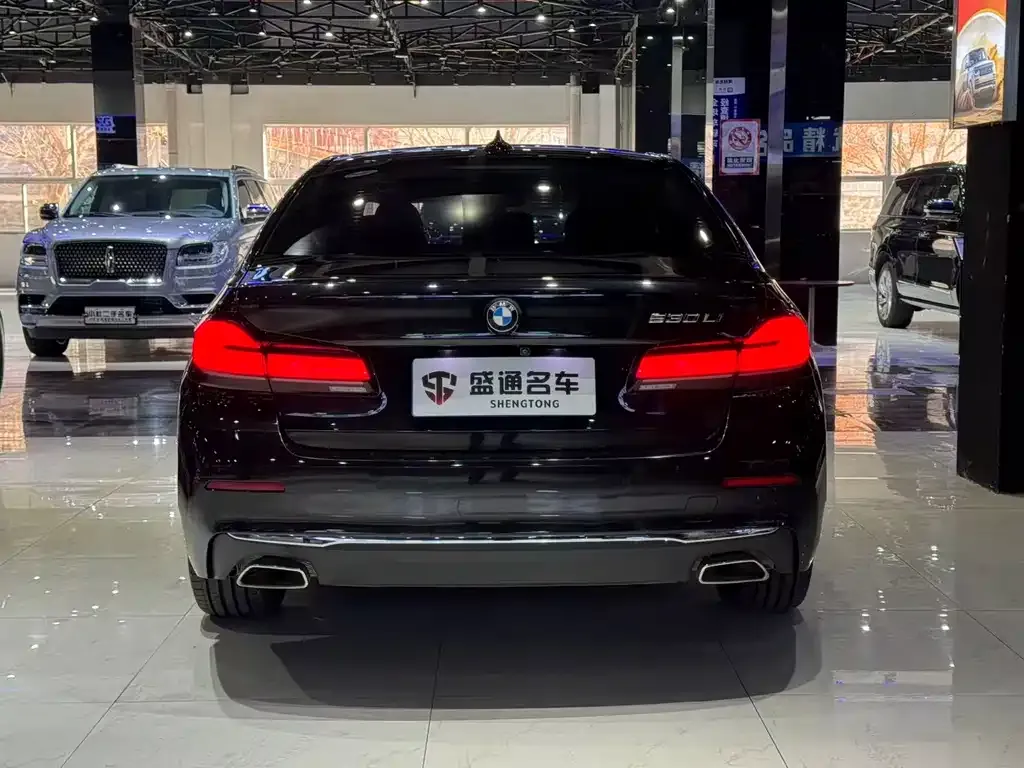 BMW 5 Series 2021 из CN, фото 4