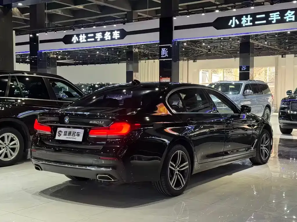 BMW 5 Series 2021 из CN, фото 9