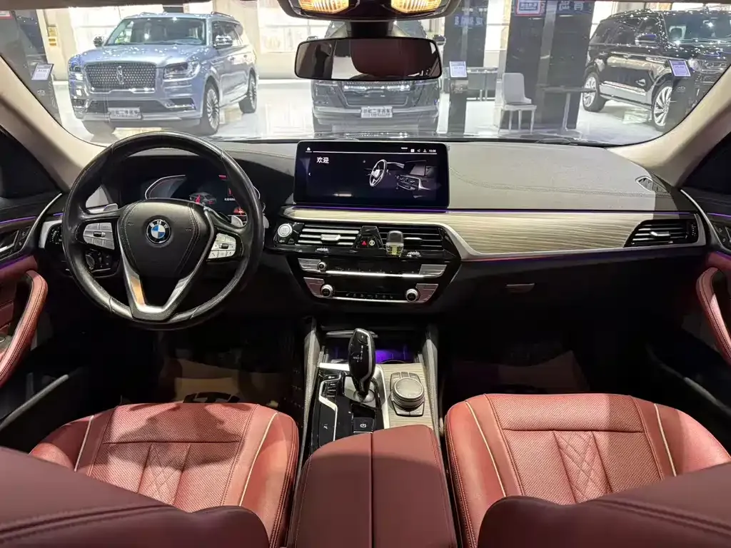 BMW 5 Series 2021 из CN, фото 8