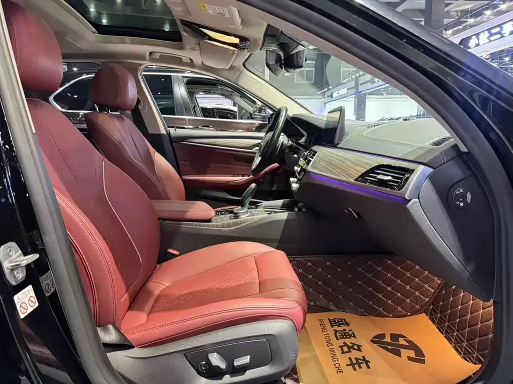 BMW 5 Series 2021 из CN, фото 3