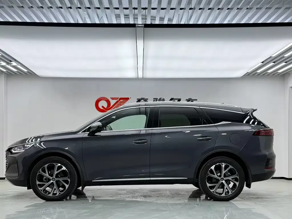 BYD Tang New Energy 2025 из CN, фото 6