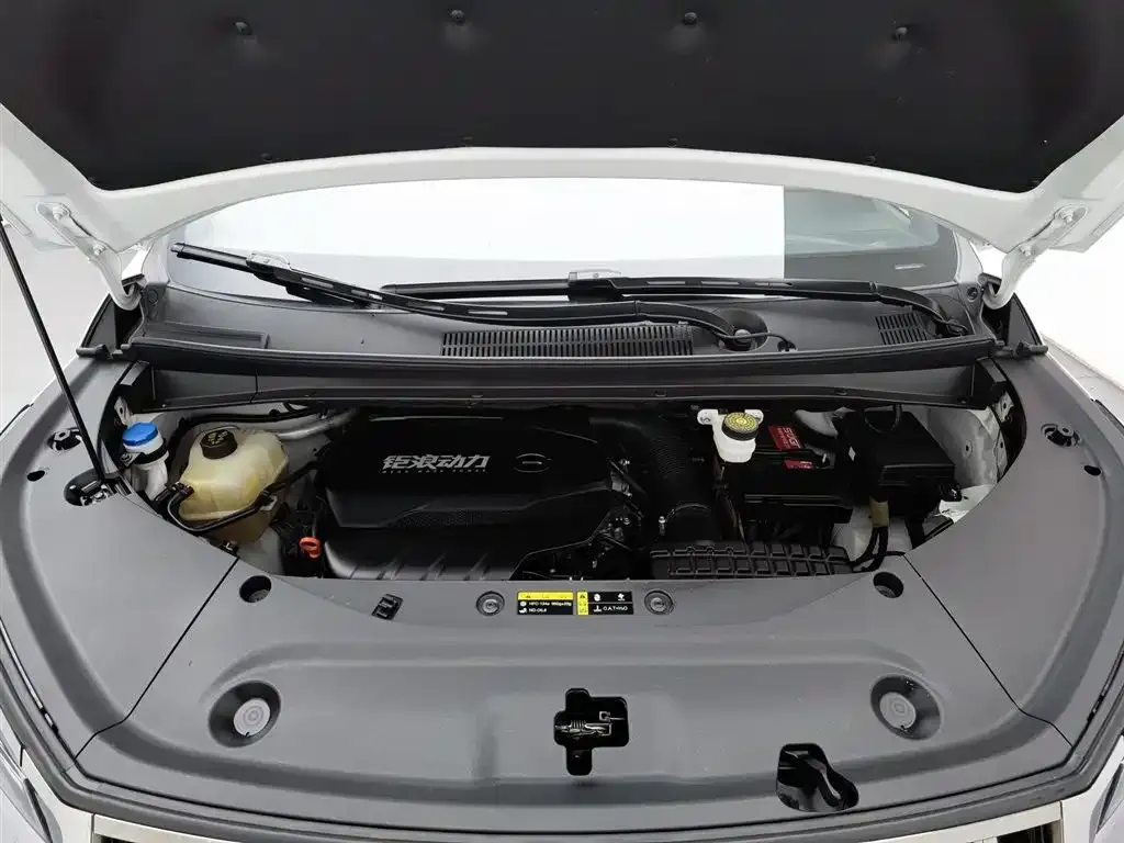 GAC Motor Trumpchi M8 2024 из CN, фото 9