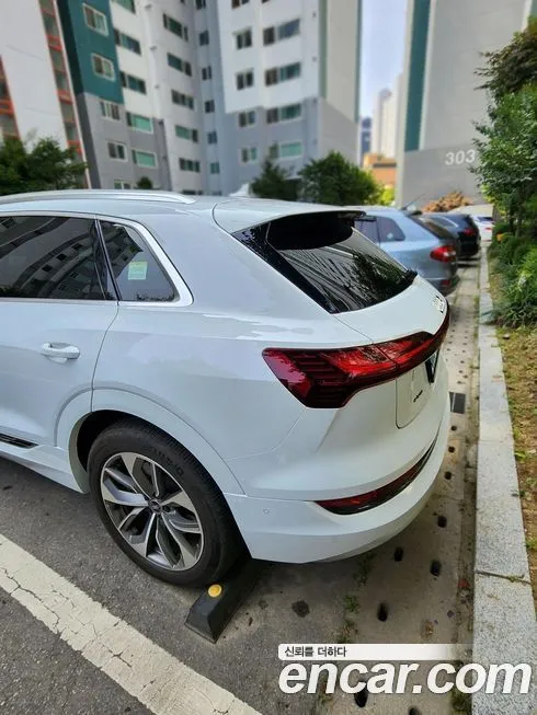 Audi e-tron 2022 из KR, фото 6