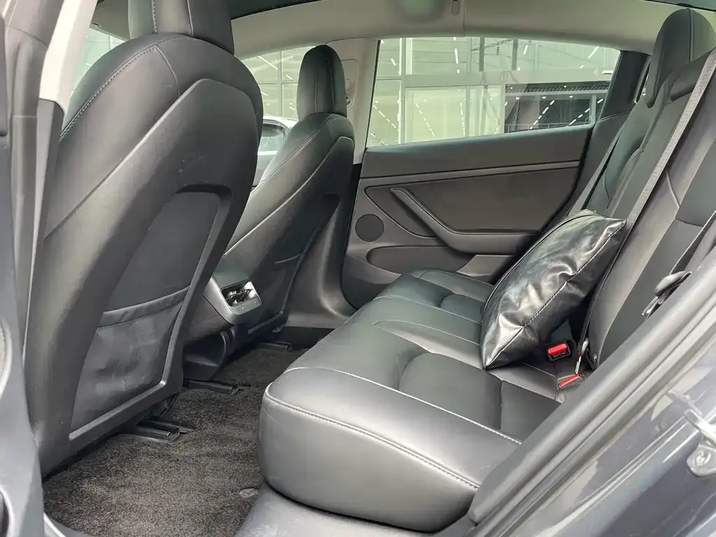 Tesla Model 3 2021 из CN, фото 4