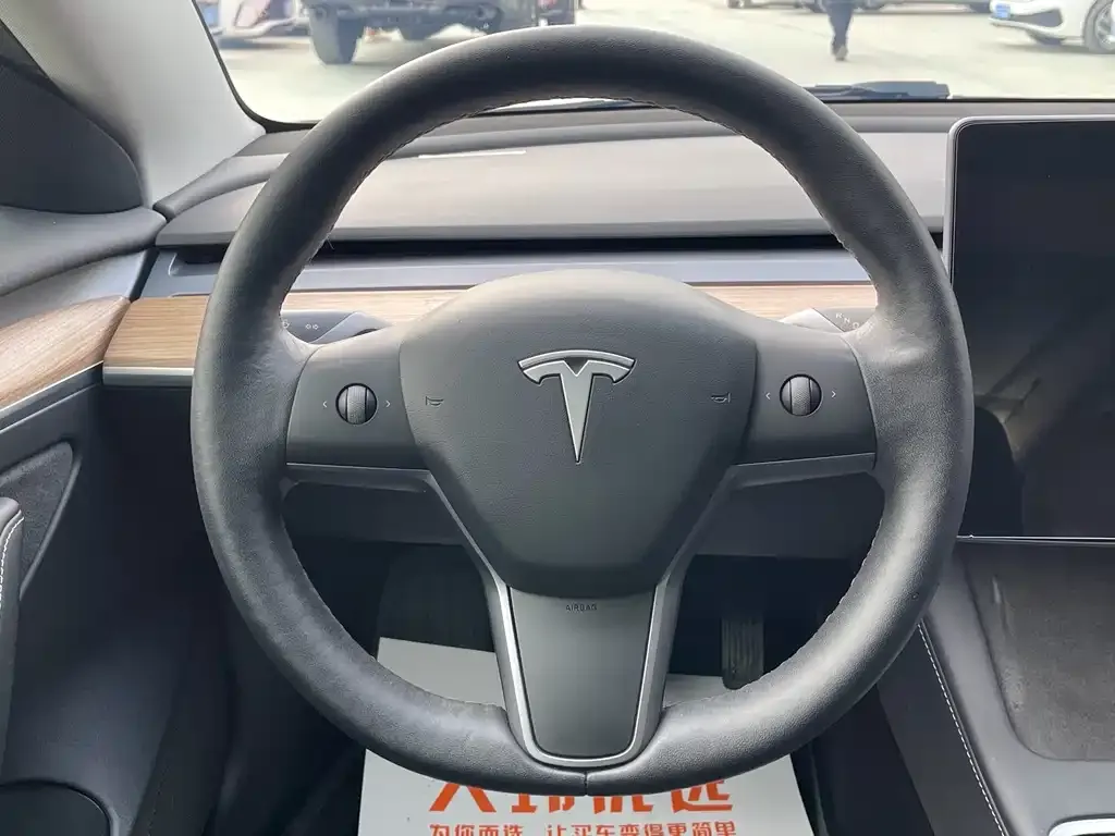 Tesla Model 3 2021 из CN, фото 5