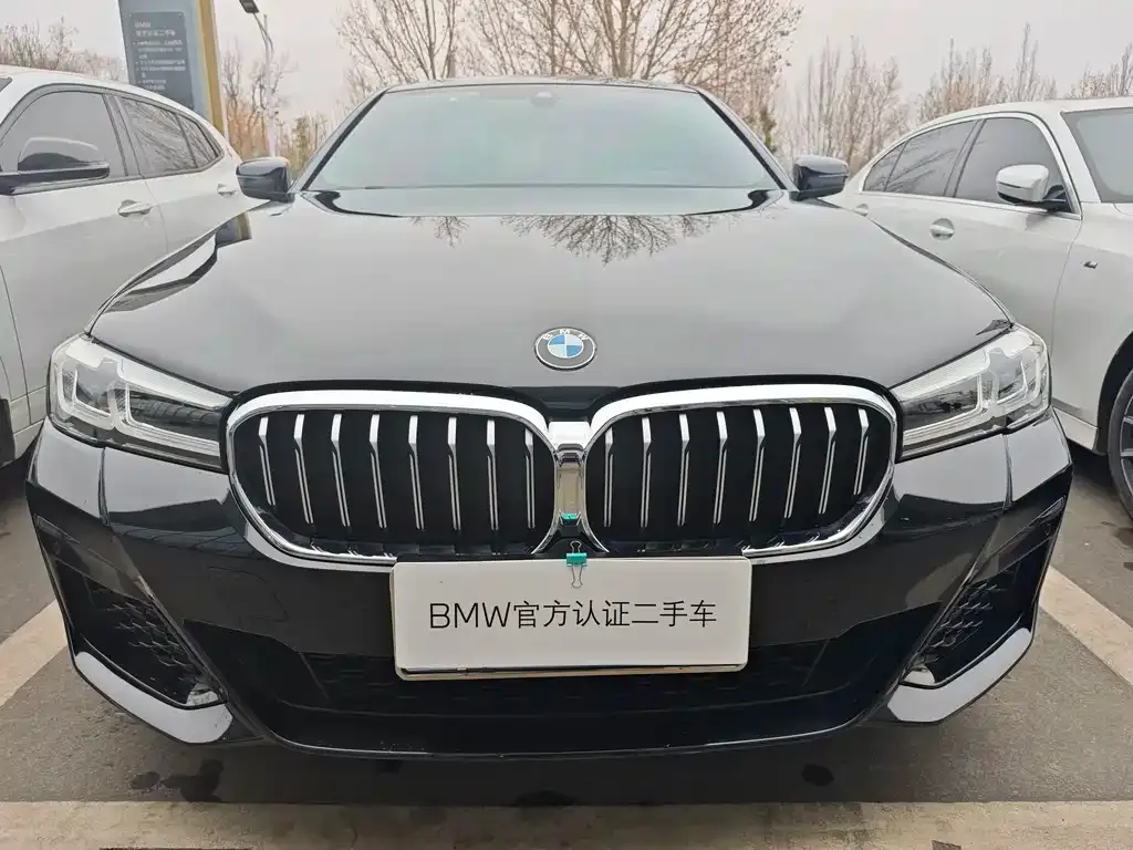 BMW 5 Series 2023 из CN, фото 3