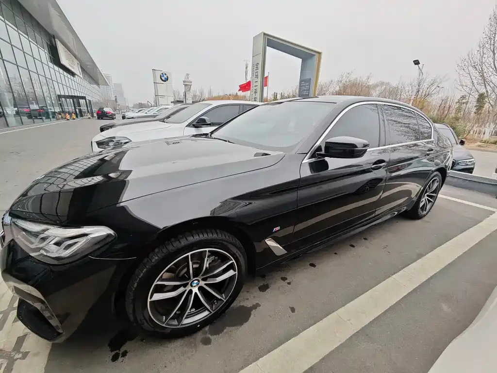 BMW 5 Series 2023 из CN, фото 8