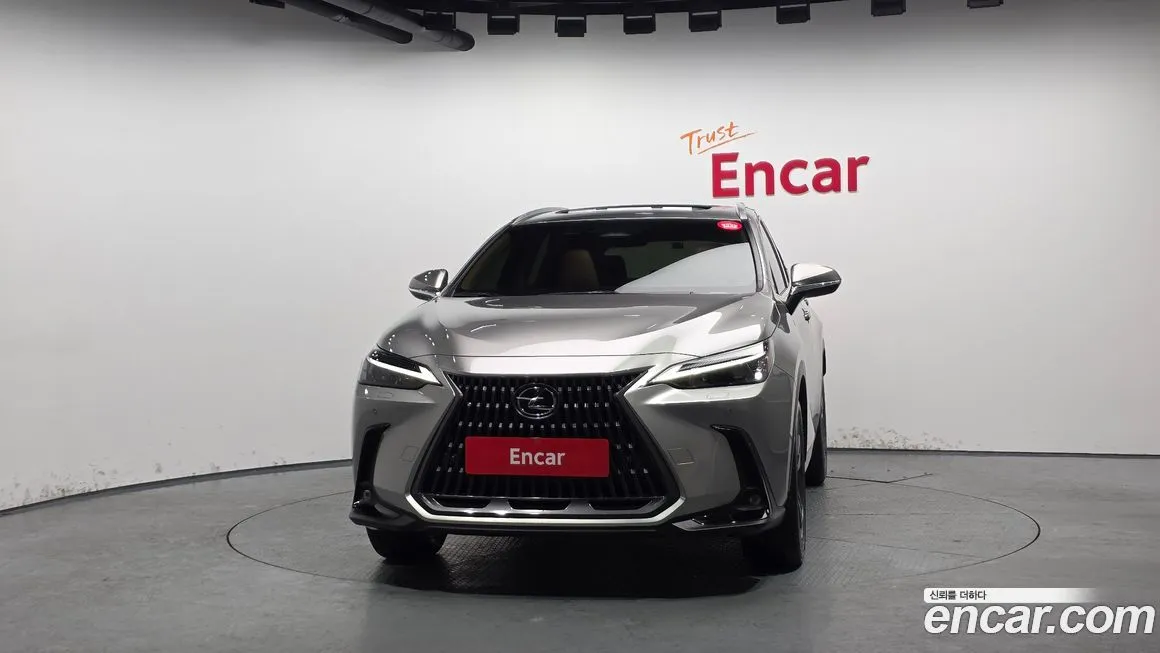 Lexus NX 2025 из KR, фото 2
