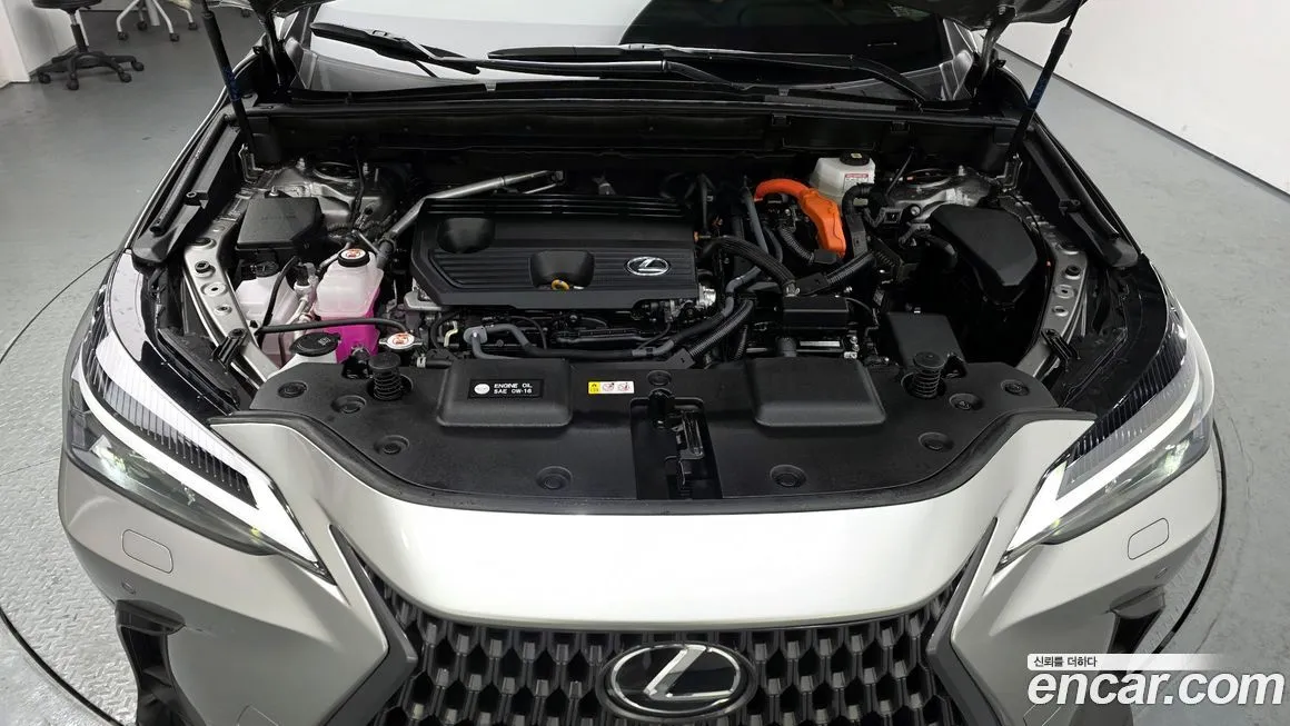 Lexus NX 2025 из KR, фото 10