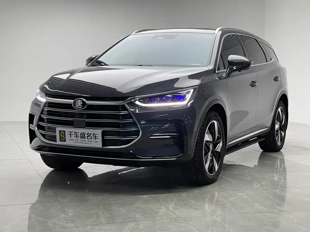 BYD Tang New Energy 2023 из CN, фото 1