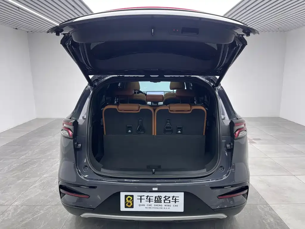 BYD Tang New Energy 2023 из CN, фото 3