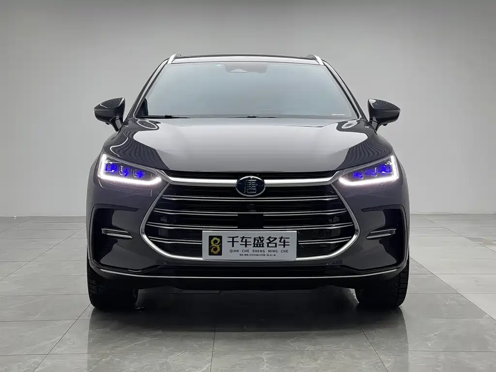BYD Tang New Energy 2023 из CN, фото 2