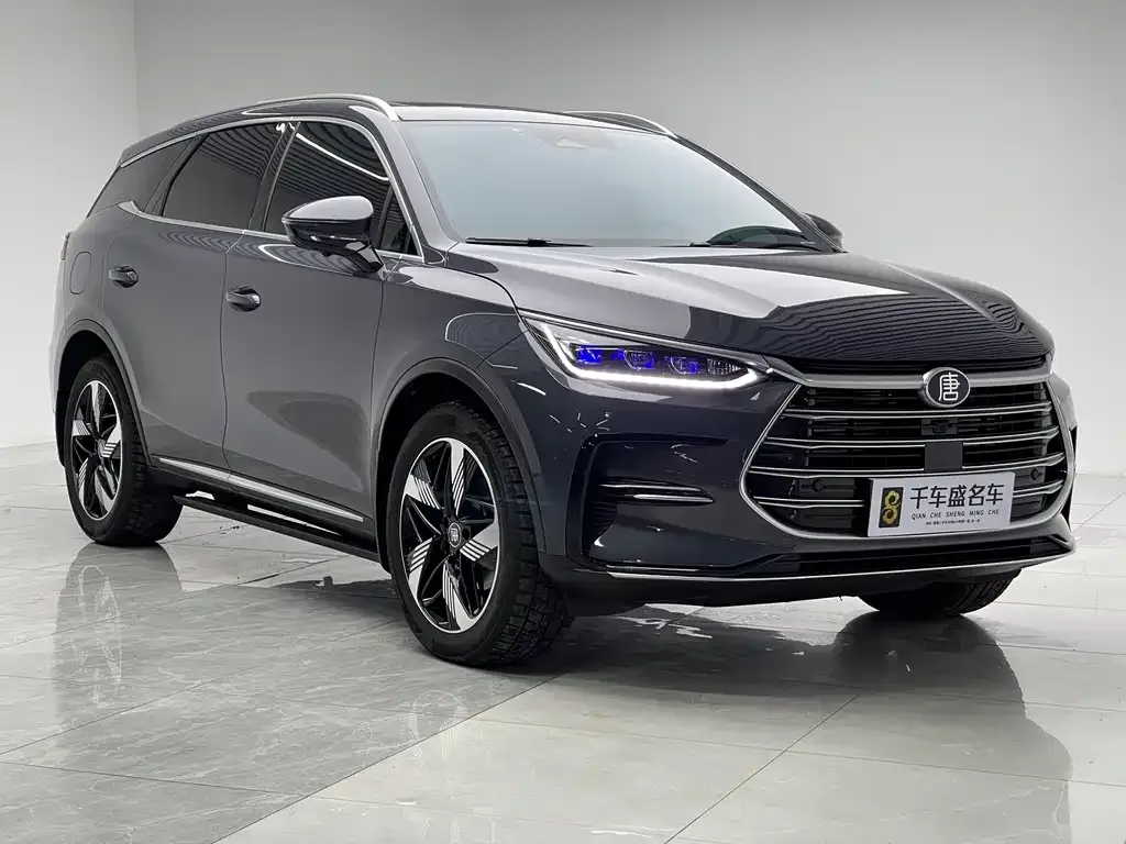 BYD Tang New Energy 2023 из CN, фото 6