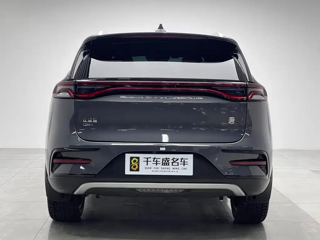BYD Tang New Energy 2023 из CN, фото 4