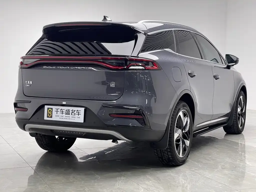 BYD Tang New Energy 2023 из CN, фото 7