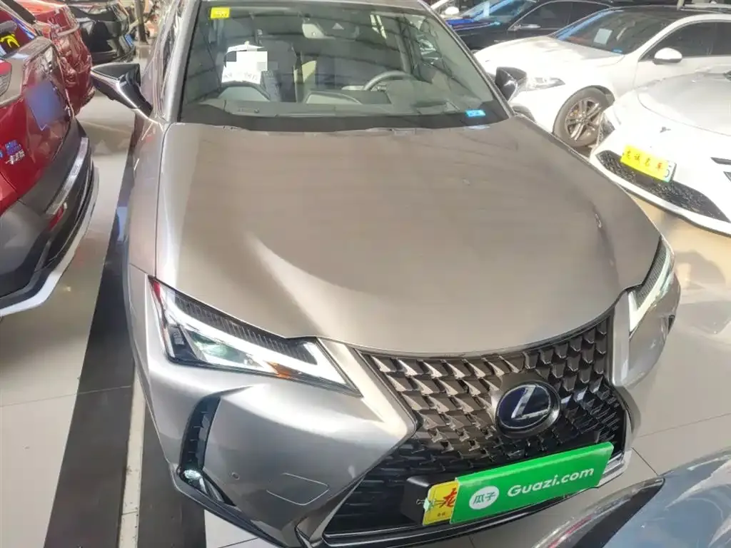 Lexus UX New Energy — фото 10