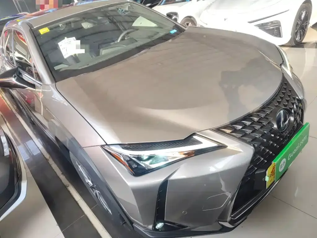 Lexus UX New Energy — фото 8