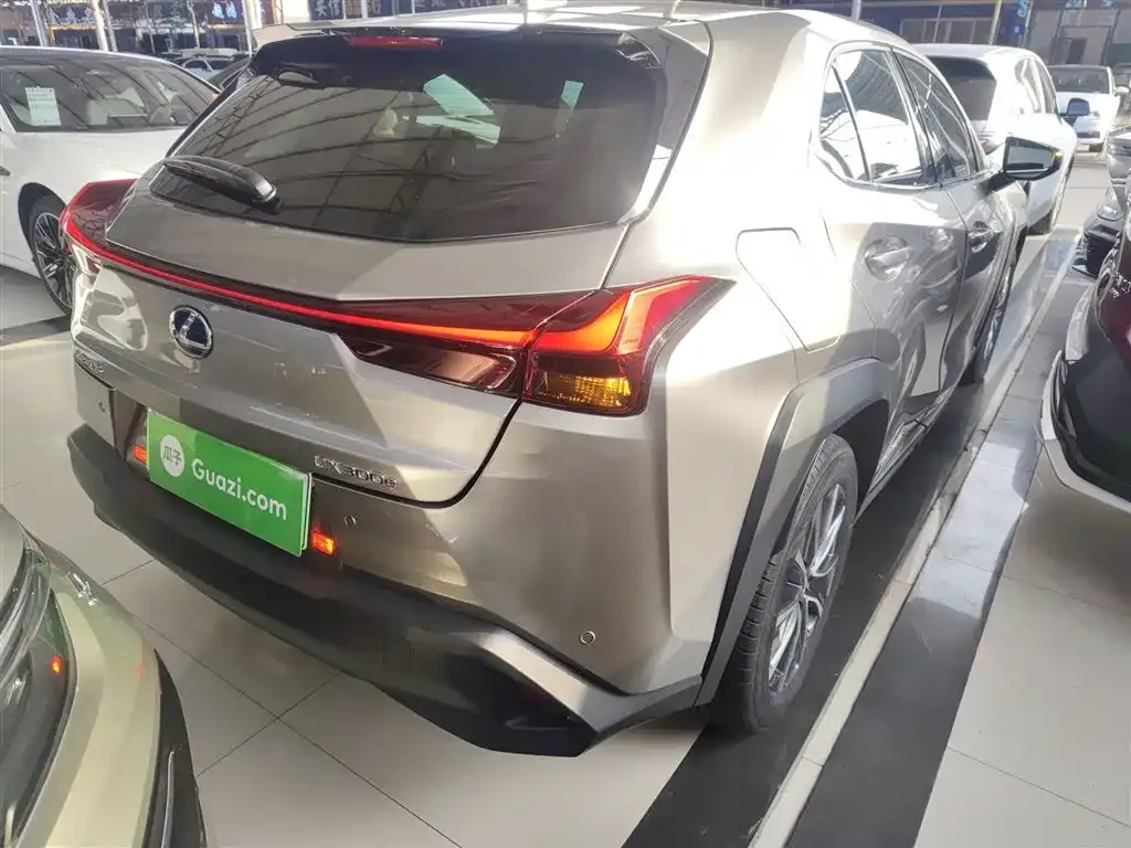 Lexus UX New Energy — фото 5