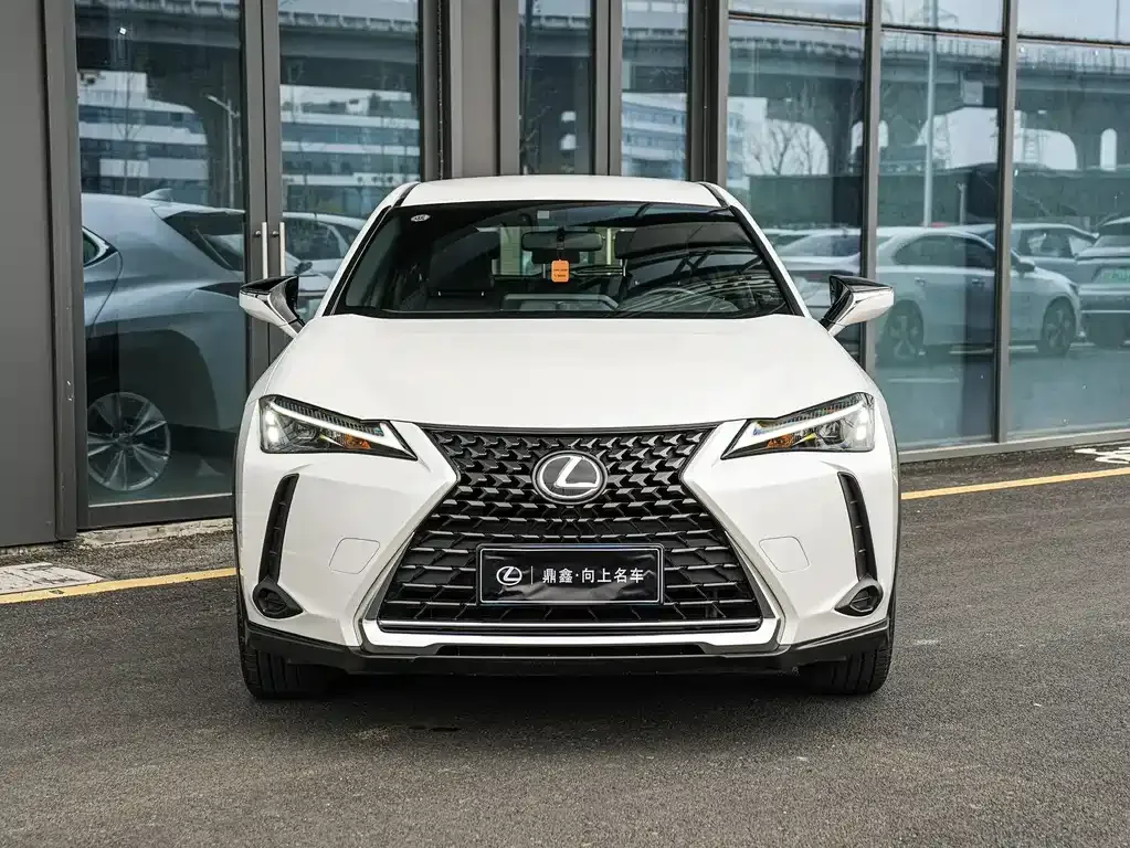 Lexus UX 2023 из CN, фото 9
