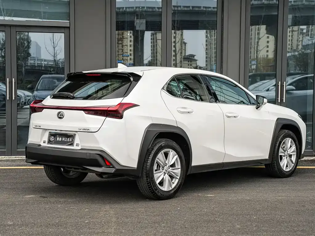 Lexus UX 2023 из CN, фото 6