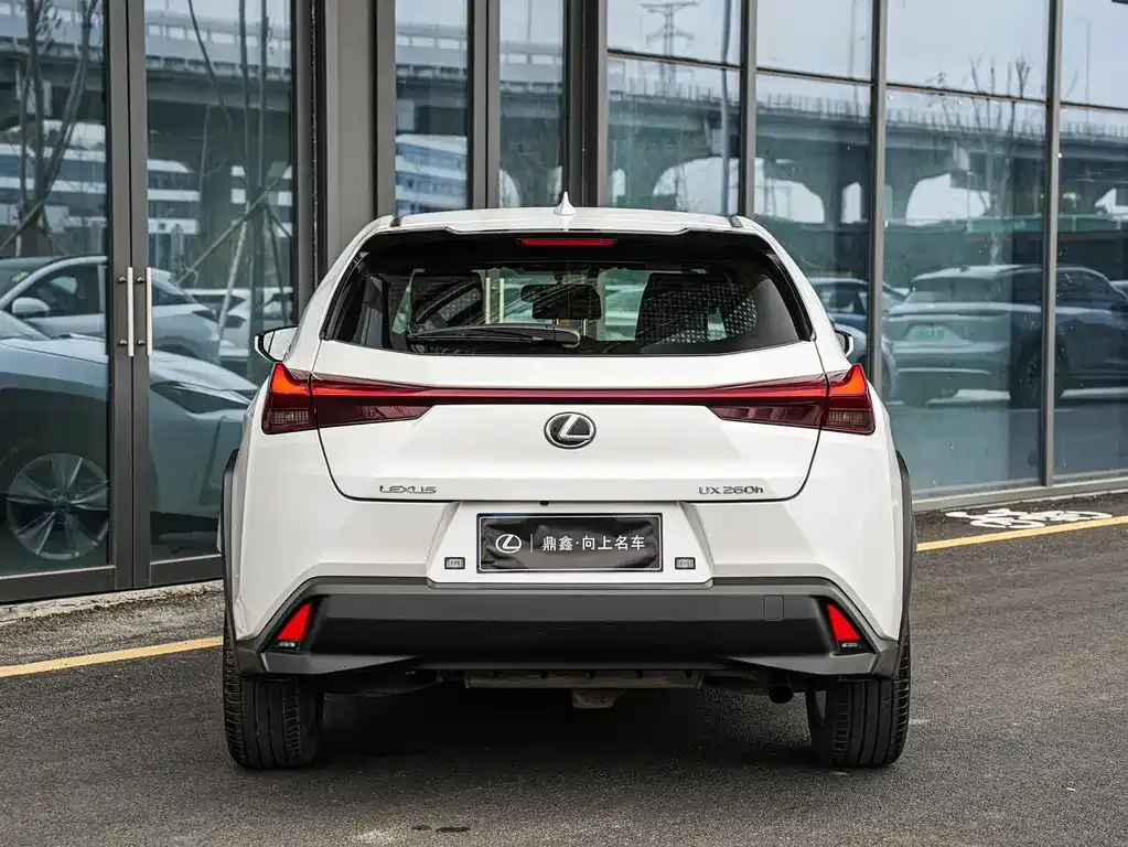 Lexus UX 2023 из CN, фото 4