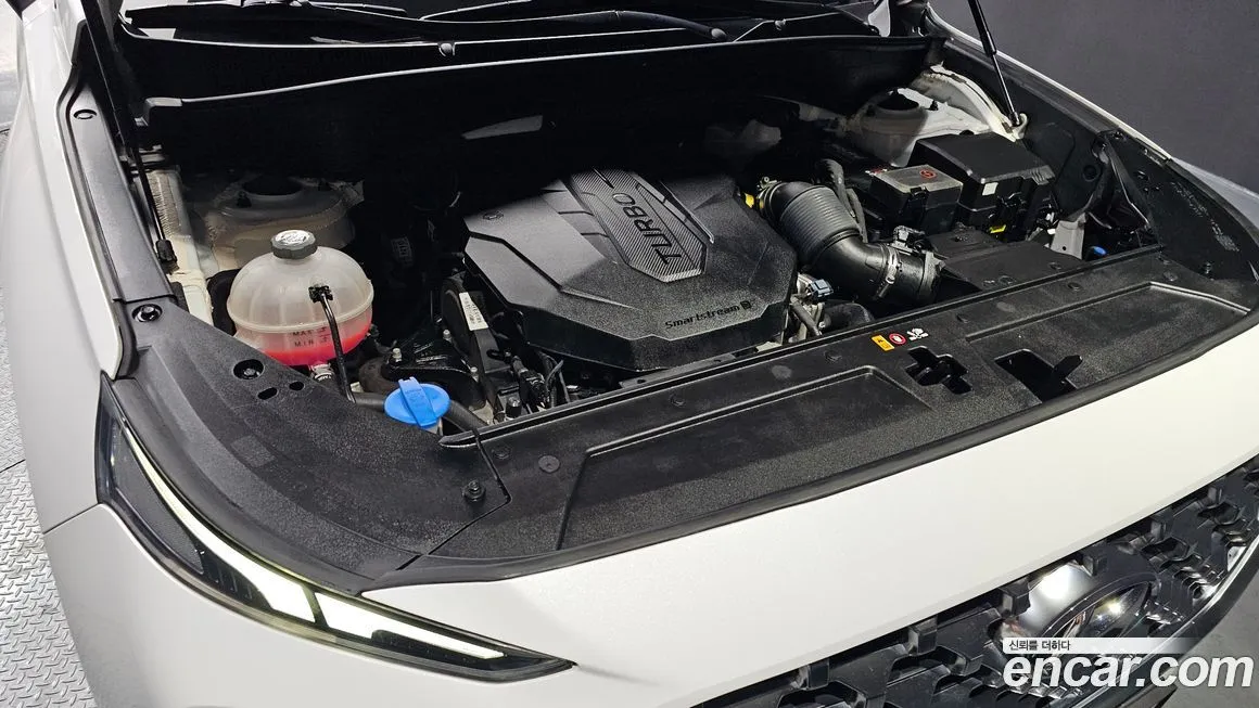 Hyundai Santafe 2021 из KR, фото 9