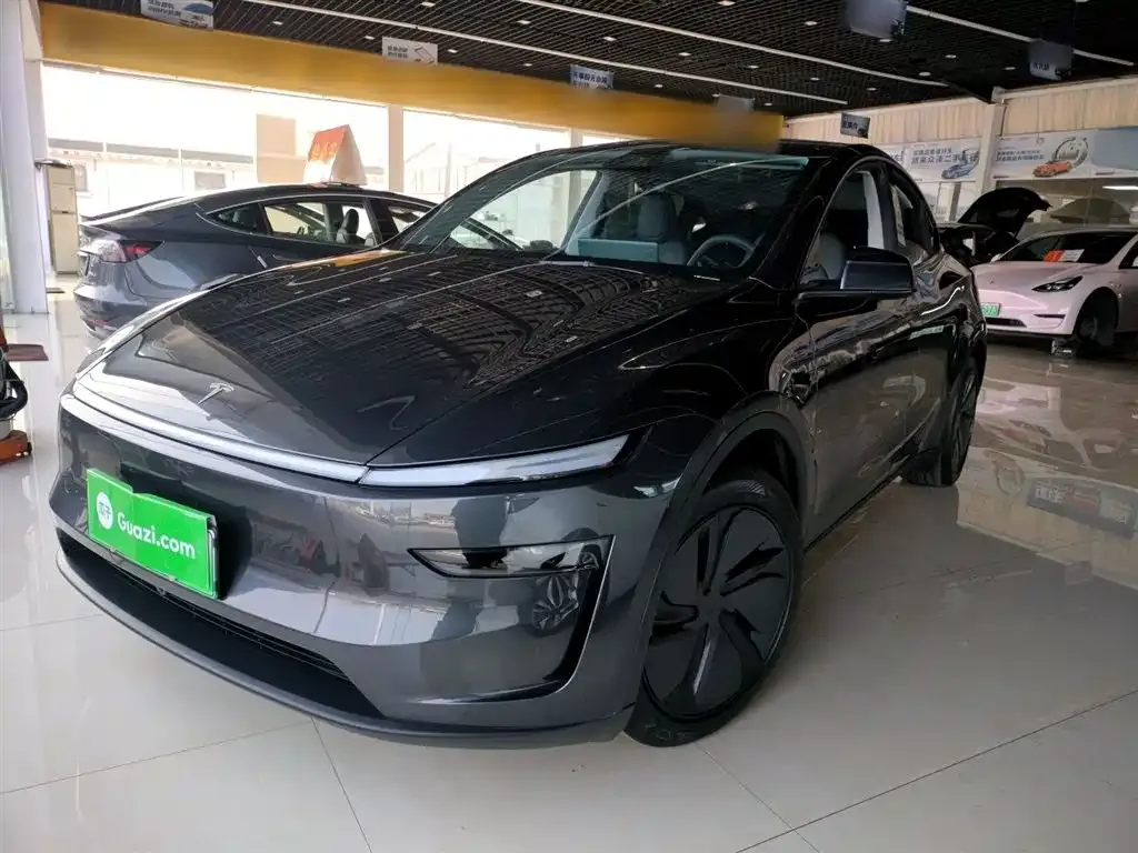 Tesla Model Y — фото 1
